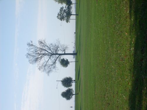 Fotografia de Marisant - Galeria Fotografica: El parque de Seaside Bridgeport Ct. - Foto: 