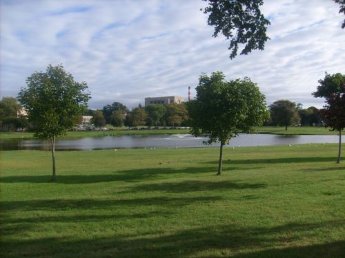 Fotografia de Marisant - Galeria Fotografica: El parque de Seaside Bridgeport Ct. - Foto: 