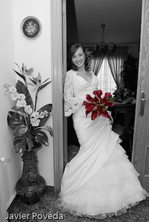 Fotografia de Estudio Fotogrfico Javier Poveda - Galeria Fotografica: Boda - Foto: 