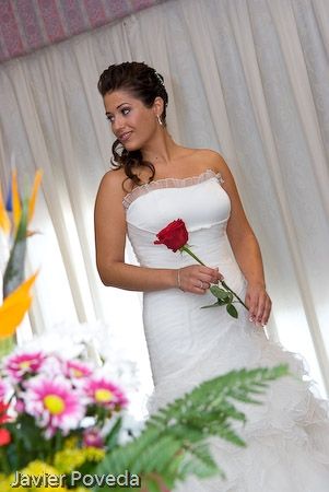 Fotografia de Estudio Fotogrfico Javier Poveda - Galeria Fotografica: Boda - Foto: 