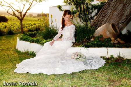 Fotografia de Estudio Fotogrfico Javier Poveda - Galeria Fotografica: Boda - Foto: 