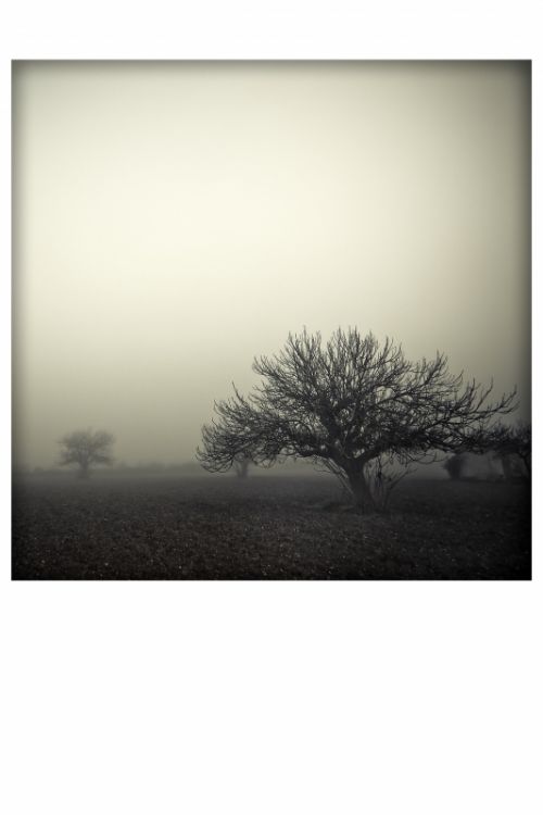 Fotografia de ferran prieto - Galeria Fotografica: LANDSCAPES - Foto: 