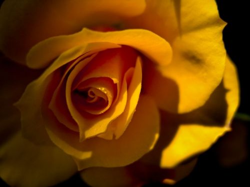 Fotografia de ferran prieto - Galeria Fotografica: LANDSCAPES - Foto: 