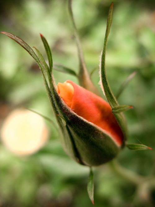 Fotografia de ferran prieto - Galeria Fotografica: LANDSCAPES - Foto: 