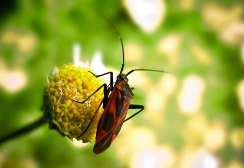 Fotografia de ferran prieto - Galeria Fotografica: LANDSCAPES - Foto: 