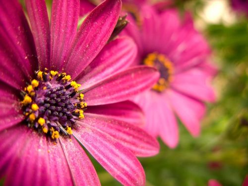 Fotografia de ferran prieto - Galeria Fotografica: LANDSCAPES - Foto: 