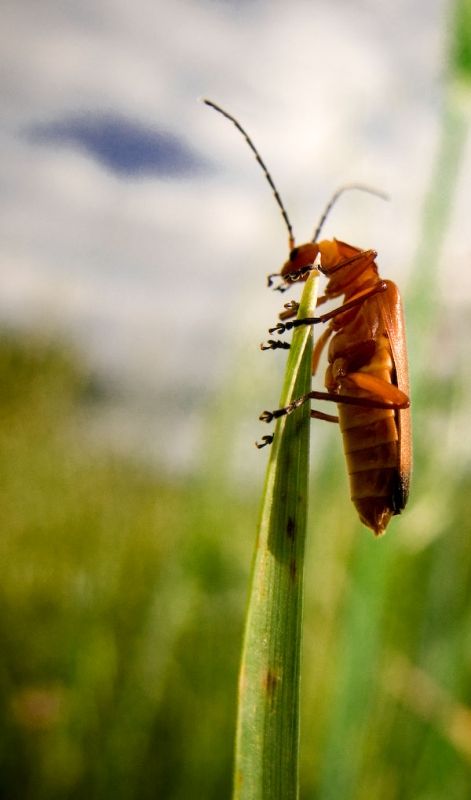 Fotografia de ferran prieto - Galeria Fotografica: LANDSCAPES - Foto: 