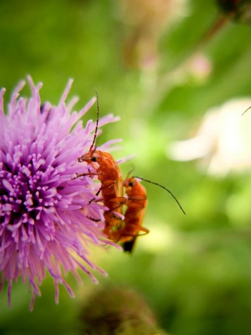 Fotografia de ferran prieto - Galeria Fotografica: LANDSCAPES - Foto: 