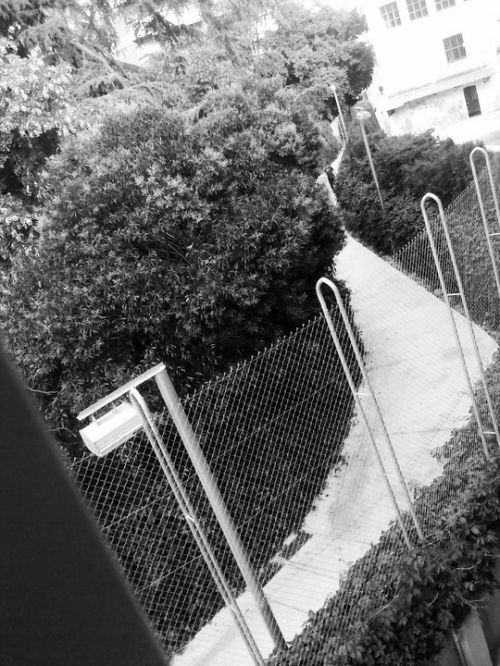 Fotografia de Rubn - Galeria Fotografica: Black & White - Foto: 