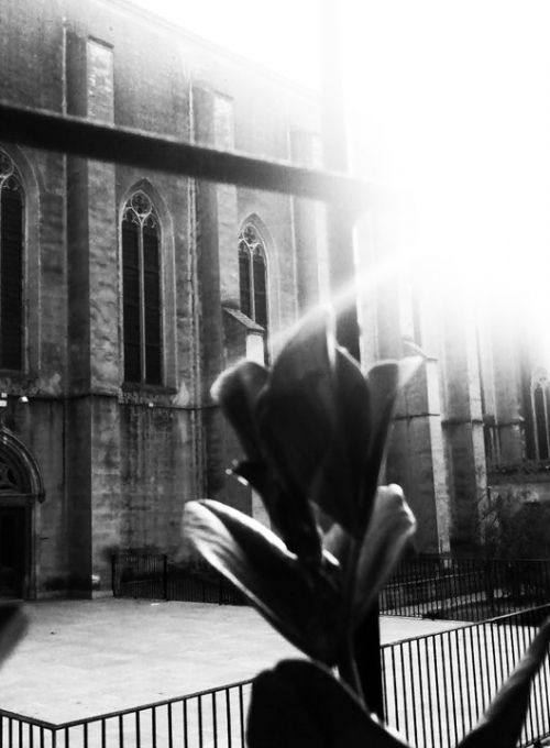 Fotografia de Rubn - Galeria Fotografica: Black & White - Foto: 