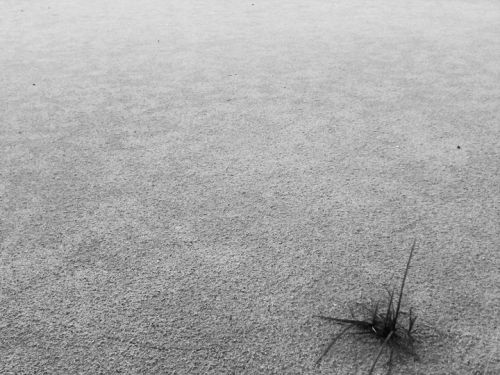 Fotografia de Rubn - Galeria Fotografica: Black & White - Foto: 