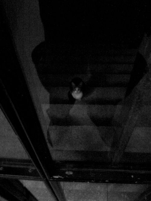 Fotografia de Rubn - Galeria Fotografica: Black & White - Foto: 