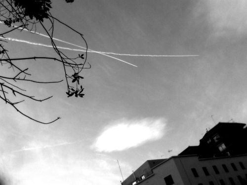 Fotografia de Rubn - Galeria Fotografica: Black & White - Foto: 