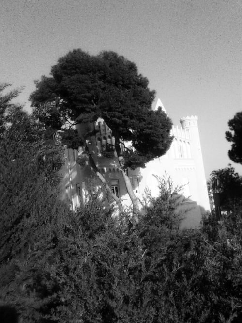 Fotografia de Rubn - Galeria Fotografica: Black & White - Foto: 