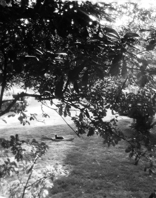 Fotografia de Rubn - Galeria Fotografica: Black & White - Foto: 