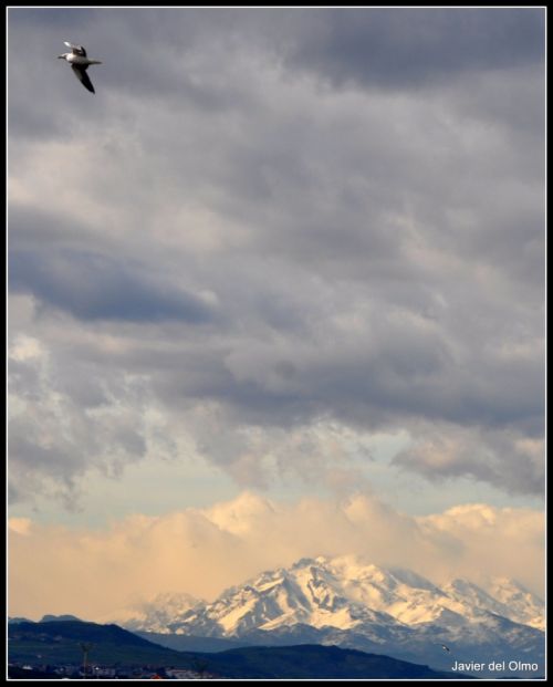 Fotografia de tiri - Galeria Fotografica: PLAYAS CANTABRAS - Foto: 