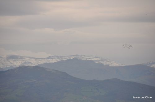 Fotografia de tiri - Galeria Fotografica: PLAYAS CANTABRAS - Foto: 