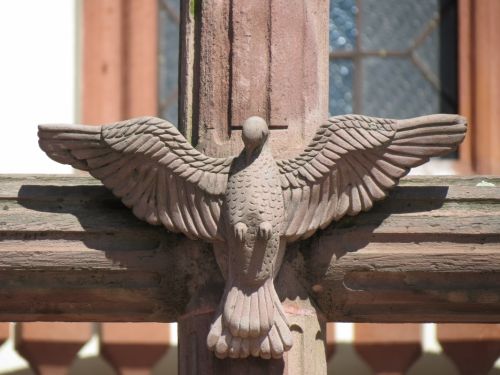 Fotografia de Samuel - Galeria Fotografica: Quertaro - Foto: 