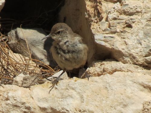 Fotografia de Samuel - Galeria Fotografica: Quertaro - Foto: 