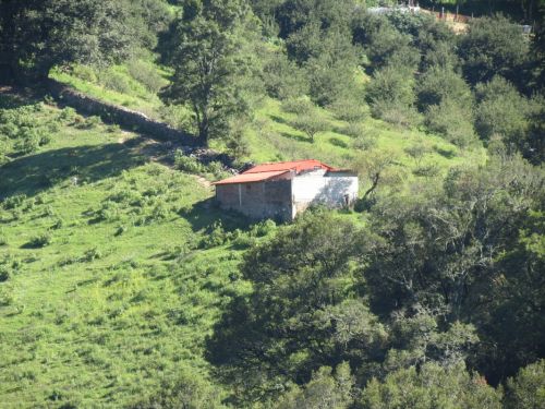 Fotografia de Samuel - Galeria Fotografica: Quertaro - Foto: 