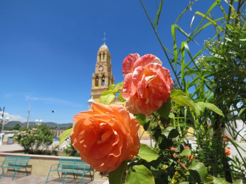 Fotografia de Samuel - Galeria Fotografica: Quertaro - Foto: 