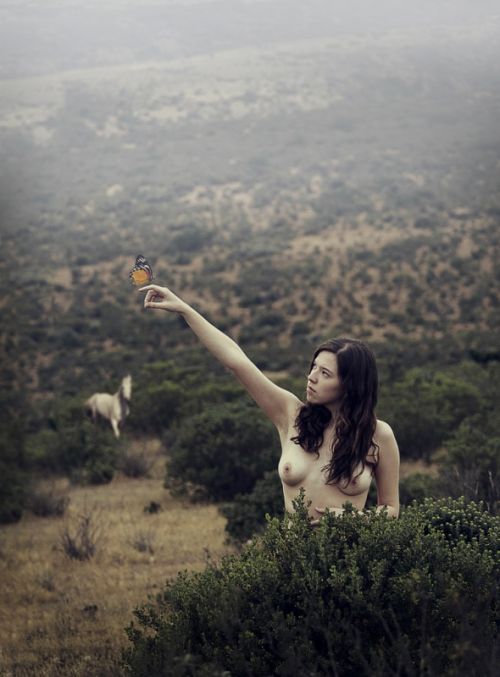 Fotografia de artefoto - Galeria Fotografica: nudes - Foto: 