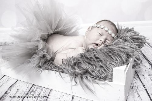 Fotografia de Fotografia Montse Sol - Galeria Fotografica: NEWBORN - Foto: 