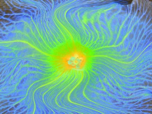 Fotografia de jose m - Galeria Fotografica: color - Foto: 