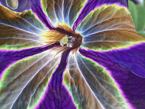 Fotografia de jose m - Galeria Fotografica: color - Foto: 