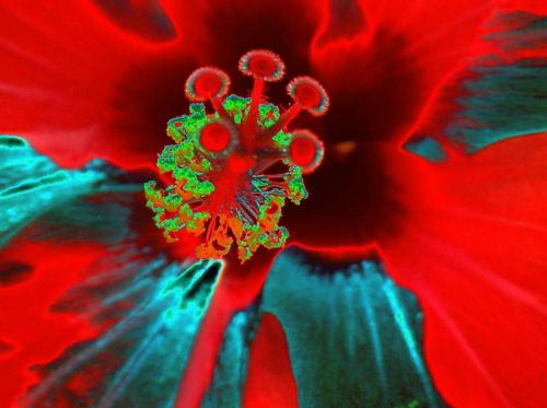 Fotografia de jose m - Galeria Fotografica: color - Foto: 