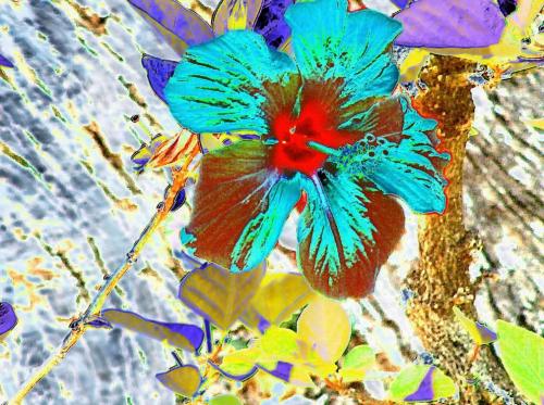 Fotografia de jose m - Galeria Fotografica: color - Foto: 