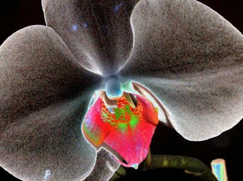 Fotografia de jose m - Galeria Fotografica: color - Foto: 