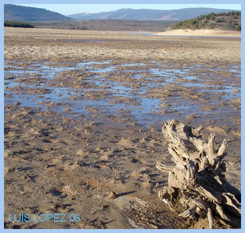 Fotografia de Luis Lpez - Galeria Fotografica: DETALLES DEL EXTERIOR - Foto: PANTANO 3
