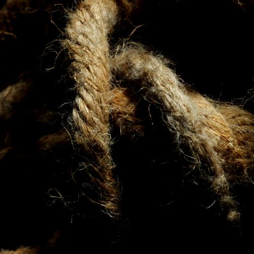 Fotografia de rakel reina - Galeria Fotografica: Bodegones - Foto: 