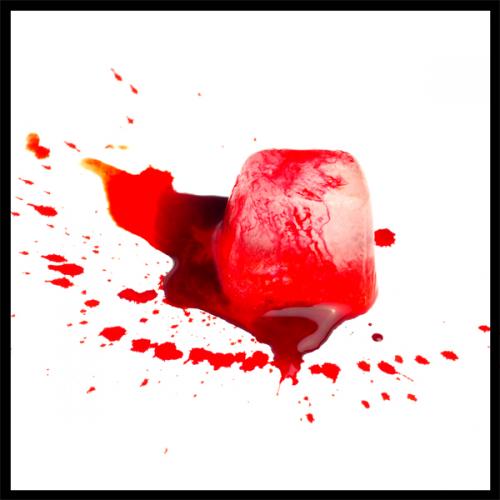 Fotografia de rakel reina - Galeria Fotografica: Bodegones - Foto: 