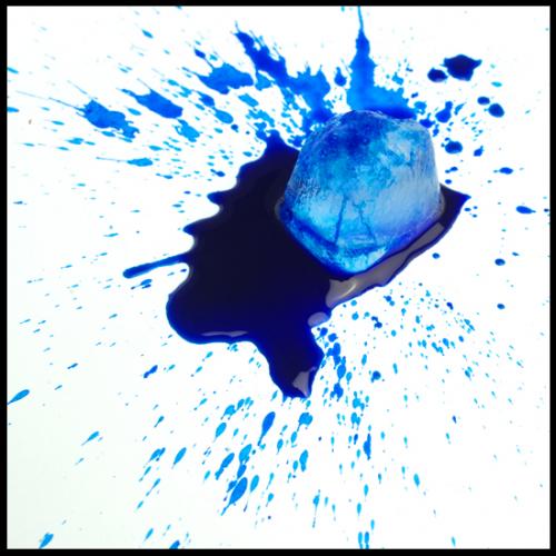 Fotografia de rakel reina - Galeria Fotografica: Bodegones - Foto: 