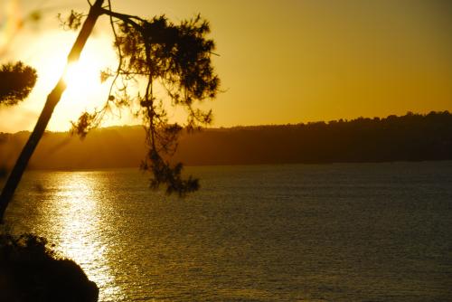 Fotografia de Federico Lojo - Galeria Fotografica: Misceslnea - Foto: Ocaso