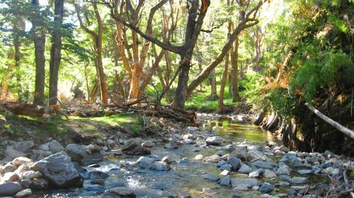 Fotografia de nica - Galeria Fotografica: el lugar donde vivo - Foto: arroyo de agua que se va