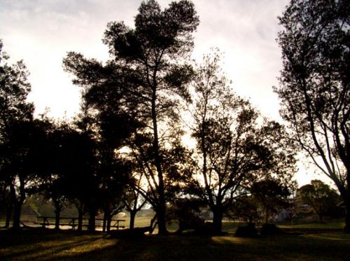 Fotografia de ERUCH Fotografa Digital Publicitaria - Galeria Fotografica: Fotografia - Foto: Bosque 1