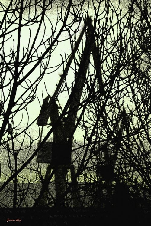 Fotografia de Federico Lojo - Galeria Fotografica: Misceslnea - Foto: 