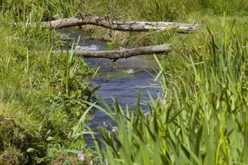 Fotografia de AREAS IMAGEN - Galeria Fotografica: PAISAJES - Foto: 