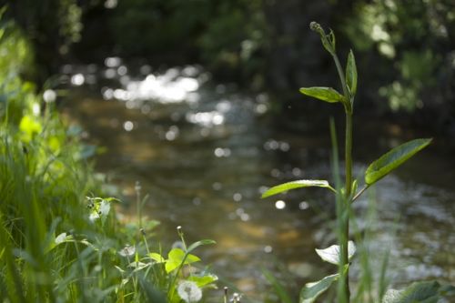 Fotografia de AREAS IMAGEN - Galeria Fotografica: PAISAJES - Foto: 