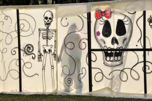 Fotografia de gattostock - Galeria Fotografica: Fiesta de Muertos en Mxico d.f. - Foto: Fiesta de muertos en Mexico d.f.