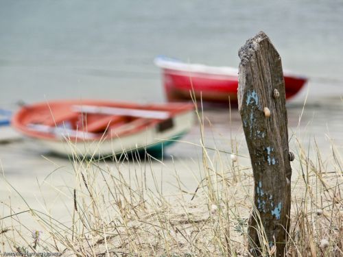 Fotografia de Sin Nombre - Galeria Fotografica: As Ras Altas - Foto: 