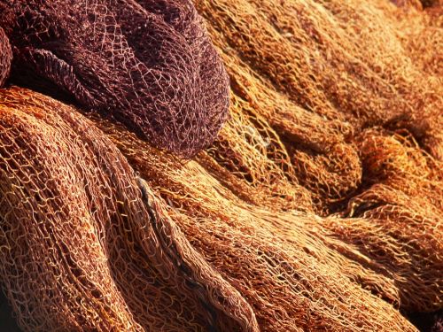 Fotografia de Sin Nombre - Galeria Fotografica: As Ras Altas - Foto: 