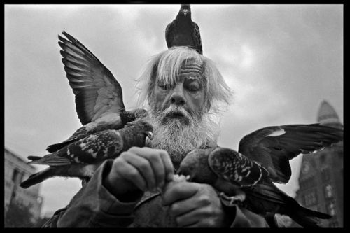 Fotografia de Santi Cogolludo - Galeria Fotografica: Miscelanea - Foto: 