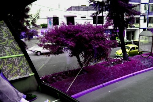 Fotografia de Maria Elena - Galeria Fotografica: Boxos!!! - Foto: 