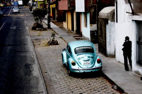 Fotografia de Maria Elena - Galeria Fotografica: Boxos!!! - Foto: 