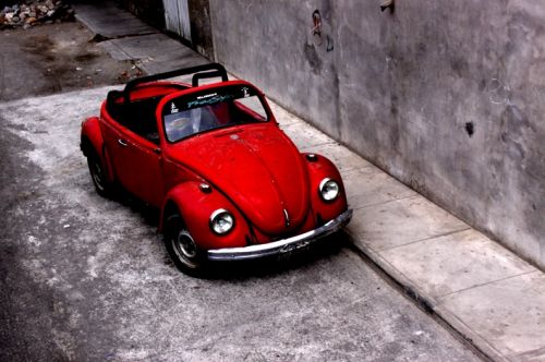 Fotografia de Maria Elena - Galeria Fotografica: Boxos!!! - Foto: 