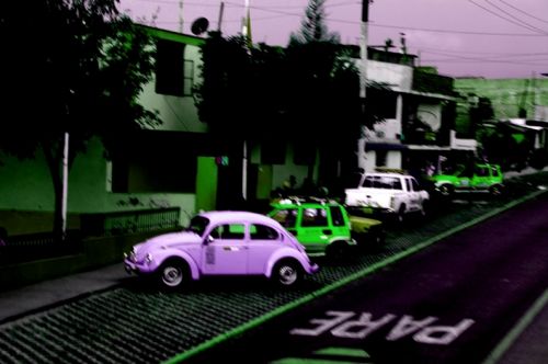 Fotografia de Maria Elena - Galeria Fotografica: Boxos!!! - Foto: 